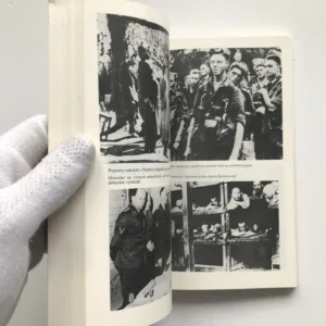 Sto dní na vrcholu moci, Miloslav Moulis