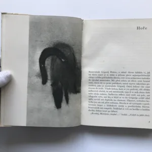 Melancholický dekameron, Anton Pavlovič Čechov, Stanislav Kolíbal