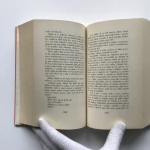 Soudce z milosti, Ivan Klíma