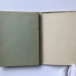 Eva tropí hlouposti, Fan Vavřincová