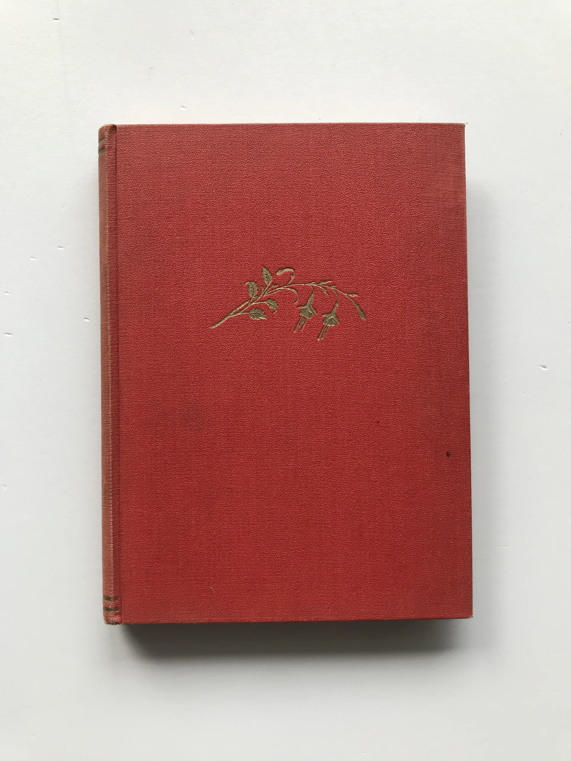 Malý a velký Mefisto, Fan Vavřincová