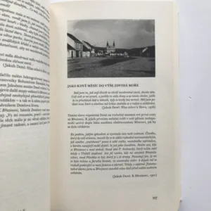 Poznávám krásu Vašich krajin (Vzájemná korespondence Jakuba Demla a Otokara Březiny), Kniha II