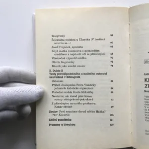 Když bolševici zrušili Vánoce, Jaroslav Hašek, Josef Lada