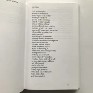 Černá lyra / Čas / Očitý svědek, Jiří Kolář