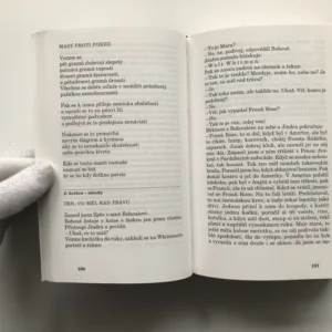 Přestupný rok / Deník, Jiří Kolář