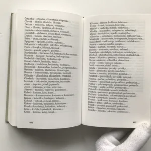 Přestupný rok / Deník, Jiří Kolář