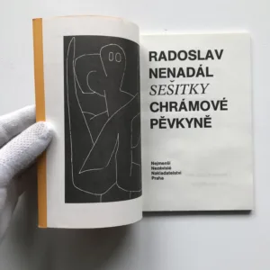Sešitky chrámové pěvkyně, Radoslav Nenadál, Paul Klee