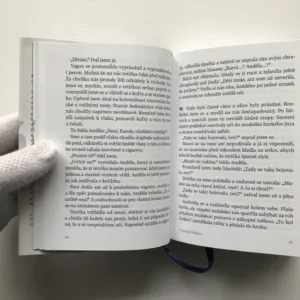 Brány mrazu a jiné prózy, Karol Sidon