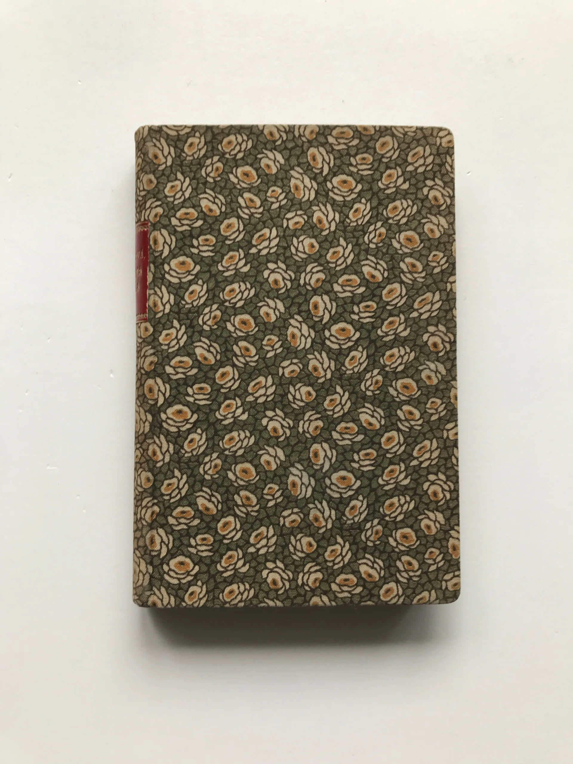 Písčitá půda (Kniha poznání), Růžena Svobodová