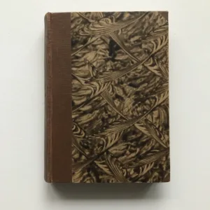 Píseň o vrbě (Prósy), Viktor Dyk