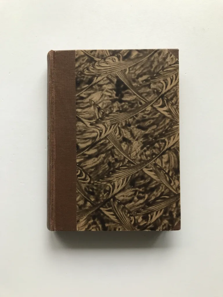 Píseň o vrbě (Prósy), Viktor Dyk