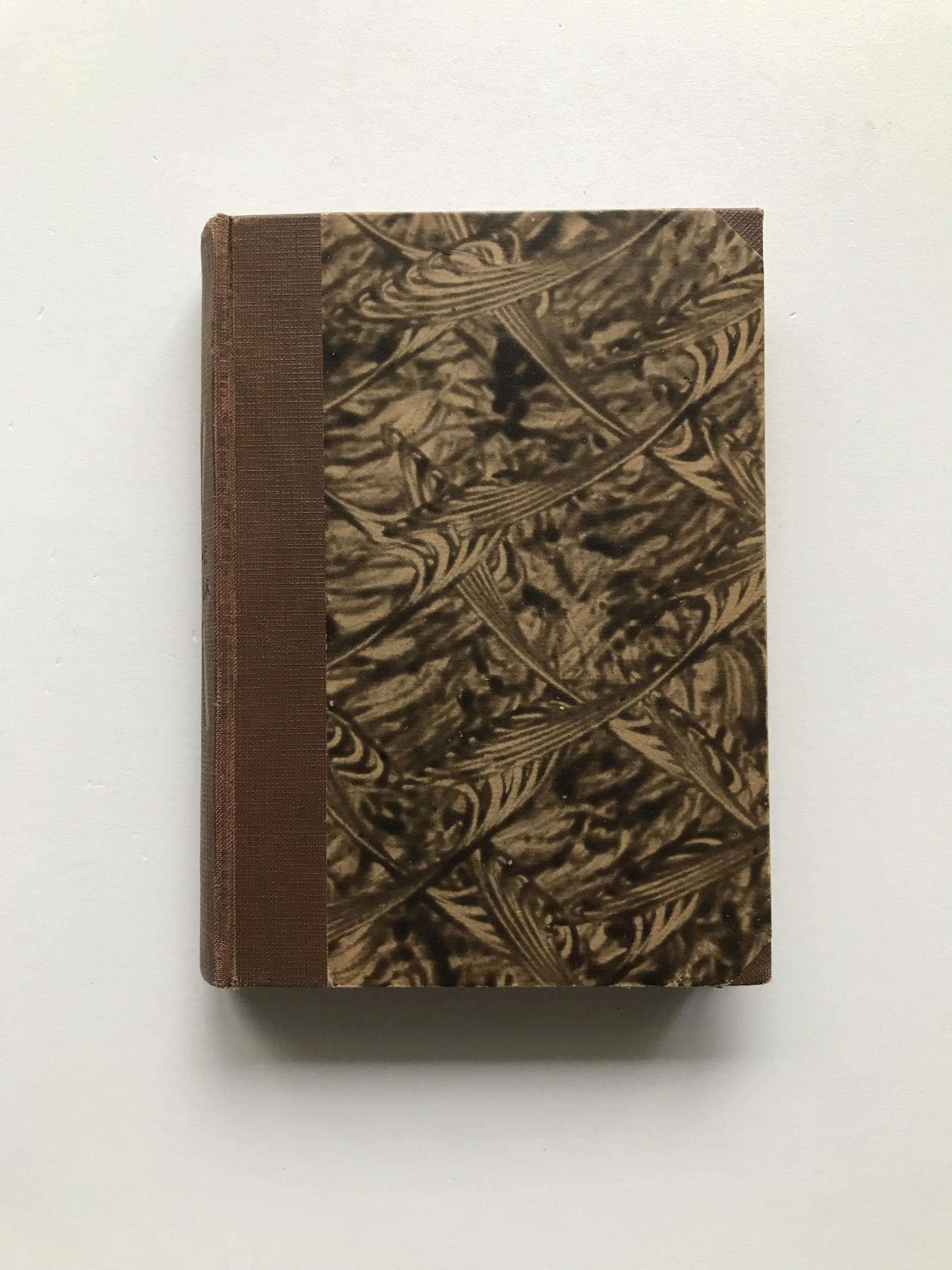 Píseň o vrbě (Prósy), Viktor Dyk