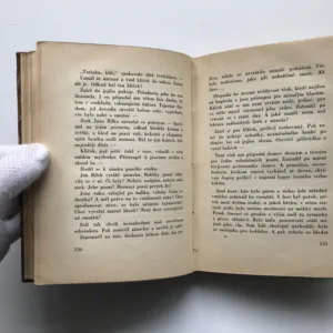 Píseň o vrbě (Prósy), Viktor Dyk