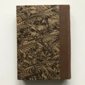 Píseň o vrbě (Prósy), Viktor Dyk