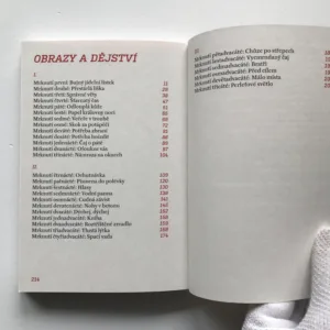 Spací vady, Radka Denemarková