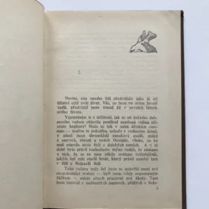 Poutník angkorský, Pierre Loti