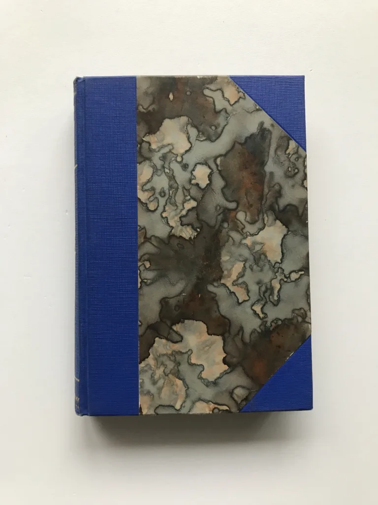 Plameny a plaménky (Román a několik povídek), Růžena Svobodová