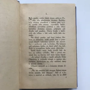 Plameny a plaménky (Román a několik povídek), Růžena Svobodová