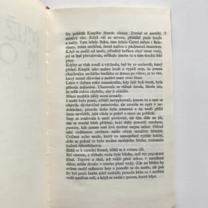 Muž proti moři, Jiří Marek