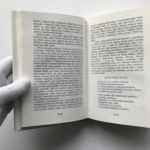 Setkání s Ježíšem na Hoře, v podobenstvích, u Jezera a s učedníky, Jan Merell