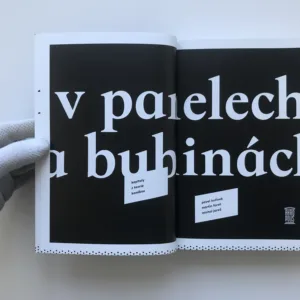 V panelech a bublinách (Kapitoly z teorie komiksu), Pavel Kořínek, Martin Foret, Michal Jareš