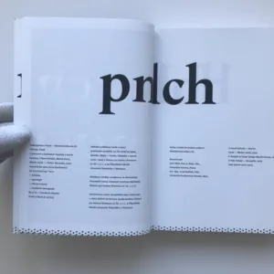 V panelech a bublinách (Kapitoly z teorie komiksu), Pavel Kořínek, Martin Foret, Michal Jareš