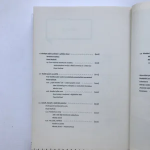 V panelech a bublinách (Kapitoly z teorie komiksu), Pavel Kořínek, Martin Foret, Michal Jareš