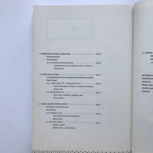 V panelech a bublinách (Kapitoly z teorie komiksu), Pavel Kořínek, Martin Foret, Michal Jareš