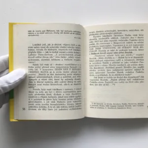 Jaroslav Hašek novinář, Zdeněk Hoření