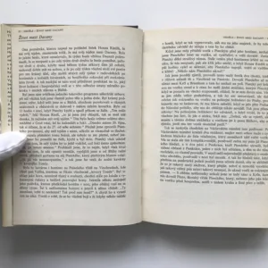 Praha ve dne i v noci aneb Týden mezi dacany, Jaroslav Hašek, Radko Pytlík, Milan Jankovič