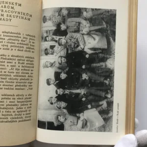 Velitelem města Bugulmy, Jaroslav Hašek