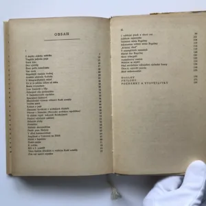 Velitelem města Bugulmy, Jaroslav Hašek