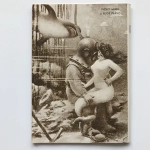 Haškův kalendář 1883-1983 (Minikalendář Dikobrazu)