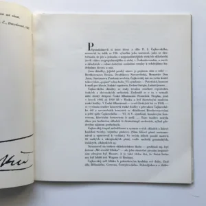 P. I. Čajkovskij – Život a dílo