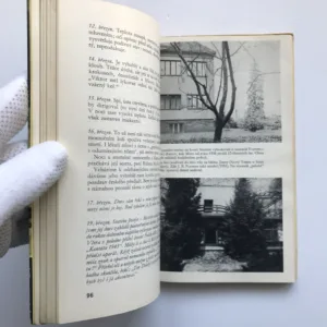 Poutník rozsvěcí lampu (Jak žil a tvořil J. B. Foerster), Bohuslav Taraba