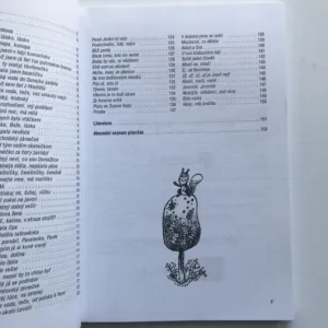 Písničky a jejich dramatizace, Zdeněk Šimanovský, Alena Tichá, Věra Burešová