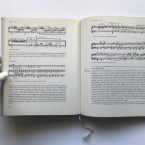 Dějiny české hudební kultury 1890-1945 (1. část / 1890-1918), Marie Dulavová, kolektiv autorů