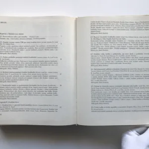 Dějiny české hudební kultury 1890-1945 (2. část / 1918-1945), Marie Dulavová, kolektiv autorů