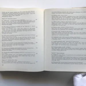 Dějiny české hudební kultury 1890-1945 (2. část / 1918-1945), Marie Dulavová, kolektiv autorů