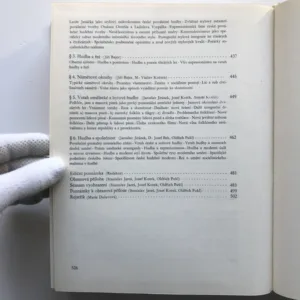 Dějiny české hudební kultury 1890-1945 (2. část / 1918-1945), Marie Dulavová, kolektiv autorů