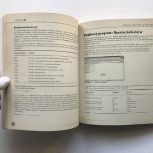 Microsoft Visual Basic Scripting – Příručka programátora , Gary Cornell