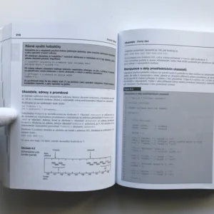 Naučte se C++ za 21 dní, Jesse Liberty