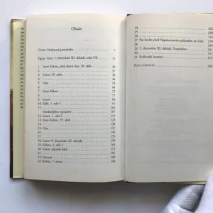 Napoleonovo egyptské tajemství, Javier Sierra