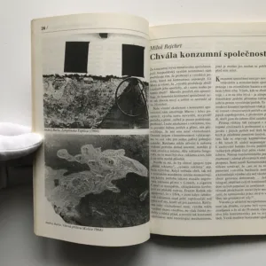 Listy 4/1994 (Dvouměsíčník pro politickou kulturu a občanský dialog)