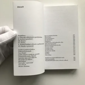 Ježíš pro moderního člověka, Milan Machovec