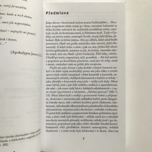 Ježíš pro moderního člověka, Milan Machovec