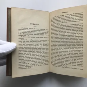 Commentarii, Xenofón, Walther Gilbert