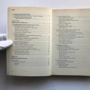 Bolest šikanování (Cesta k zastavení epidemie šikanování ve školách), Michal Kolář