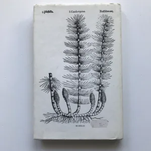 Vzpomínky přírodního léčitele, Jan Mikolášek