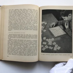 Poruchy čtení a psaní (Vývojová dyslexie), Jaroslav Jirásek, Zdeněk Matějček, Zdeněk Žlab